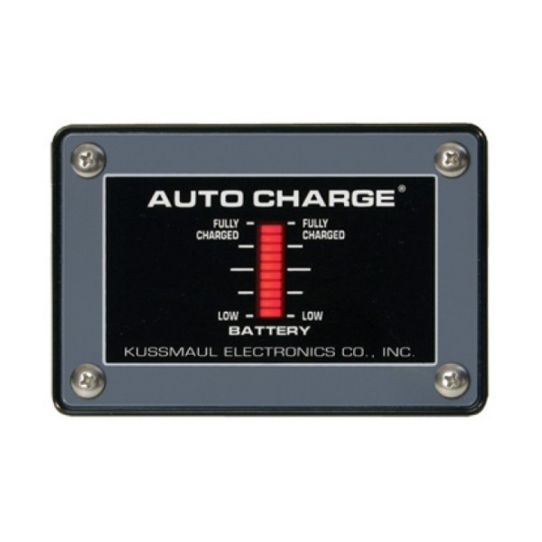 Single bar graph display 12V